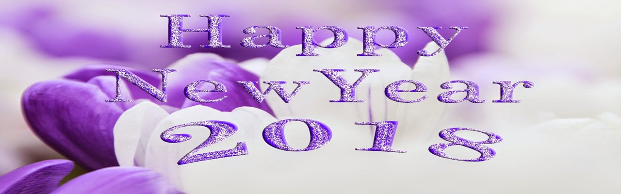 happy_new_year.jpg